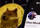 Dogecoin Price Tumbles As Musk Feud With Donald Trump Hurts the Crypto